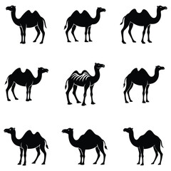 silhouette of Camel vector on white background, Camel icon vector, black camel animal silhouette