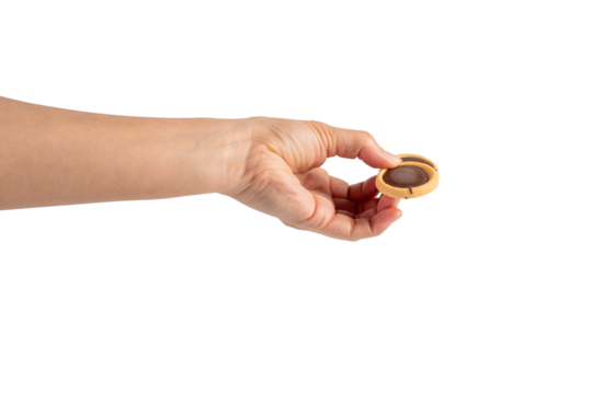 Sweet Bakery Cookies with chocolate and hand on transparent background