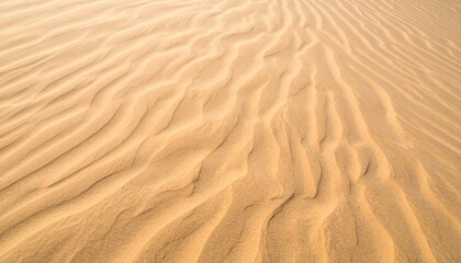 Fototapeta premium Natural patterns of sand dunes desert landscape photography warm environment aerial view serenity concept