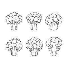 Artistic Minimalist Cauliflower Head Vector for Modern Designs