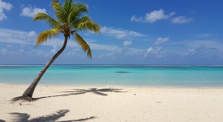 Naklejka premium Tropical beach paradise with palm tree, turquoise water and white sand