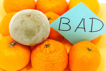 Spoiled tangerine with mold on a yellow background. bad inscriptions on sticker