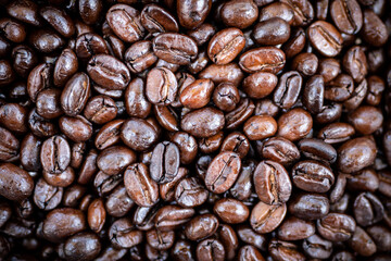 close up of roast coffee bean texture background with light and shadow, top view. coffee shop advertising background with copy space