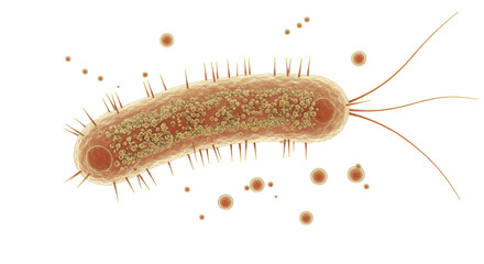 Isolated Microscopic Bacteria Cell with Flagella