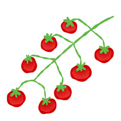 grappe de tomates cerises au pinceau rouge et vert