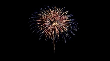 Fireworks exploding in the night sky with vibrant colors for celebration