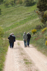 Quatre femmes promenant sur un chemin de campagne