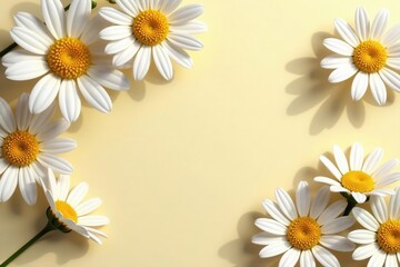 Obraz premium Elegant chamomile daisy pattern, sunlight shadows on beige , light, pastel, wallpaper