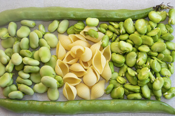 Rustic Mediterranean Ingredients: Fresh Broad Beans and Pasta Shells
