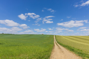 Open landscape. A large field is turning green and there is a stack of straw on the field. The sky is blue with white clouds.