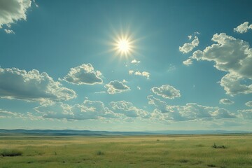 Obraz premium Vast golden field under bright blue sky filled with fluffy white clouds on a sunny afternoon in rural landscape