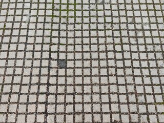 Detailed stone pavement with moss growth