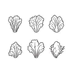 Clean and Simple Line Art of Fresh Lettuce Leaves