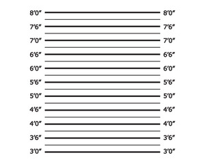 Police mug shot vector lineup background