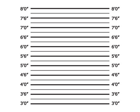 Police mug shot vector lineup background