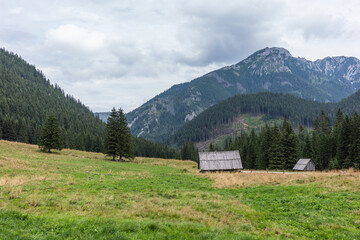 Obraz premium A house in the mountains surrounded by greenery in a meadow during the day