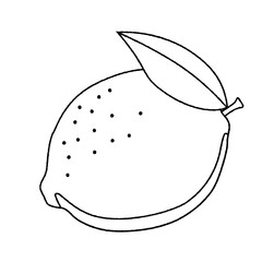 葉っぱ付きレモンの線画イラスト