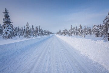 Obraz premium Winter road through snowy forest landscape covered in white snow under a blue sky