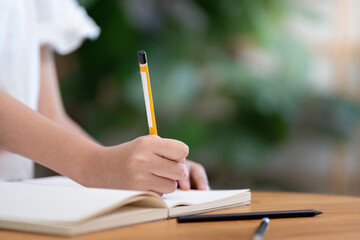 Back to School writing in notebook with pencil during study time