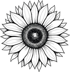 Sunflower and Leaf Decorative Floral Art Vector