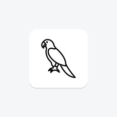 Parrot, vector, pixel perfect, illustrator file