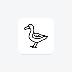 Duck, vector, pixel perfect, illustrator file