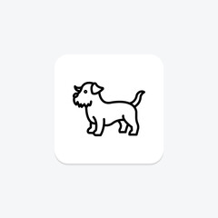 Norfolk Terrier, vector, pixel perfect, illustrator file
