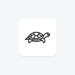 Fototapeta premium Red Eared Slider, vector, pixel perfect, illustrator file