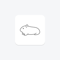 Guinea Pig, vector, pixel perfect, illustrator file