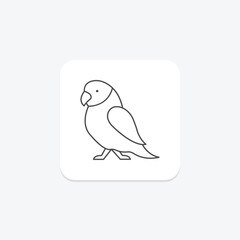 Parakeet, vector, pixel perfect, illustrator file