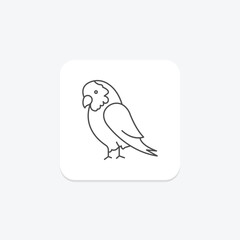 African Grey Parrot, vector, pixel perfect, illustrator file