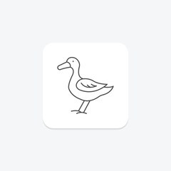 Duck, vector, pixel perfect, illustrator file