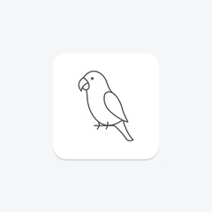 Peach Faced Lovebird, vector, pixel perfect, illustrator file