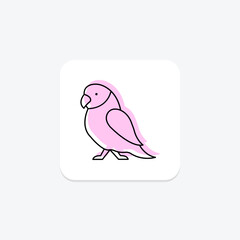 Parakeet, vector, pixel perfect, illustrator file