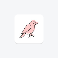 Canary, vector, pixel perfect, illustrator file
