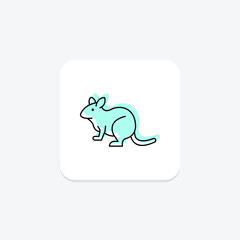 Degu, vector, pixel perfect, illustrator file