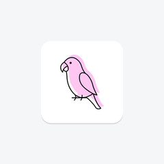 Peach Faced Lovebird, vector, pixel perfect, illustrator file