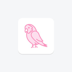 African Grey Parrot, vector, pixel perfect, illustrator file