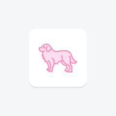 Bernese Mountain Dog, vector, pixel perfect, illustrator file