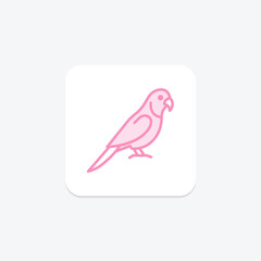 Quaker Parrot, vector, pixel perfect, illustrator file