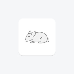 Chinchilla, vector, pixel perfect, illustrator file