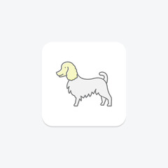 Collie, vector, pixel perfect, illustrator file