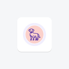 Fototapeta premium Labrador Retriever, vector, pixel perfect, illustrator file