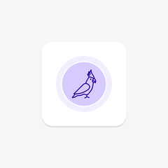 Cockatiel, vector, pixel perfect, illustrator file