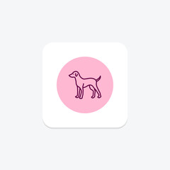 Dog, vector, pixel perfect, illustrator file
