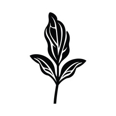 Obraz premium Spinach Silhouette Clipart 