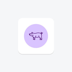 Miniature Pig, vector, pixel perfect, illustrator file