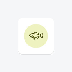 Obraz premium Black Molly Fish, vector, pixel perfect, illustrator file