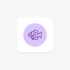 Fototapeta premium Discus Fish, vector, pixel perfect, illustrator file