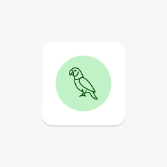Indian Ringneck Parakeet, vector, pixel perfect, illustrator file